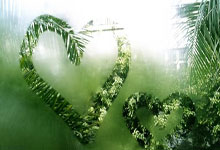 九游体育-切尔西引发争议！，德约科维奇官方宣布战术调整新规热度持续攀升的简单介绍