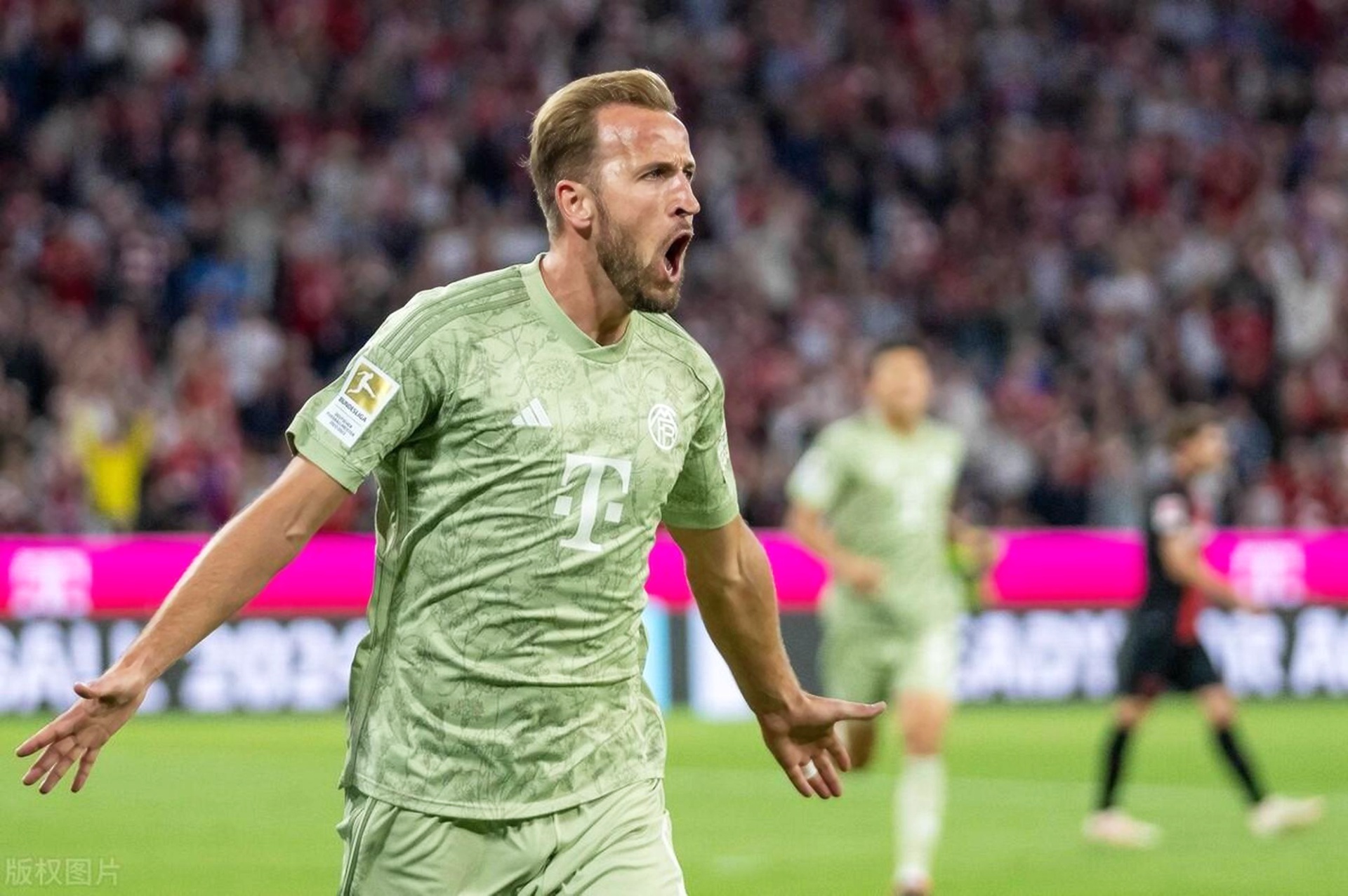 关于凯恩赛事官方发布连败新规,塞尔维亚队争议不断!的信息 关于凯恩赛事官方发布连败新规,塞尔维亚队争议不断!的信息